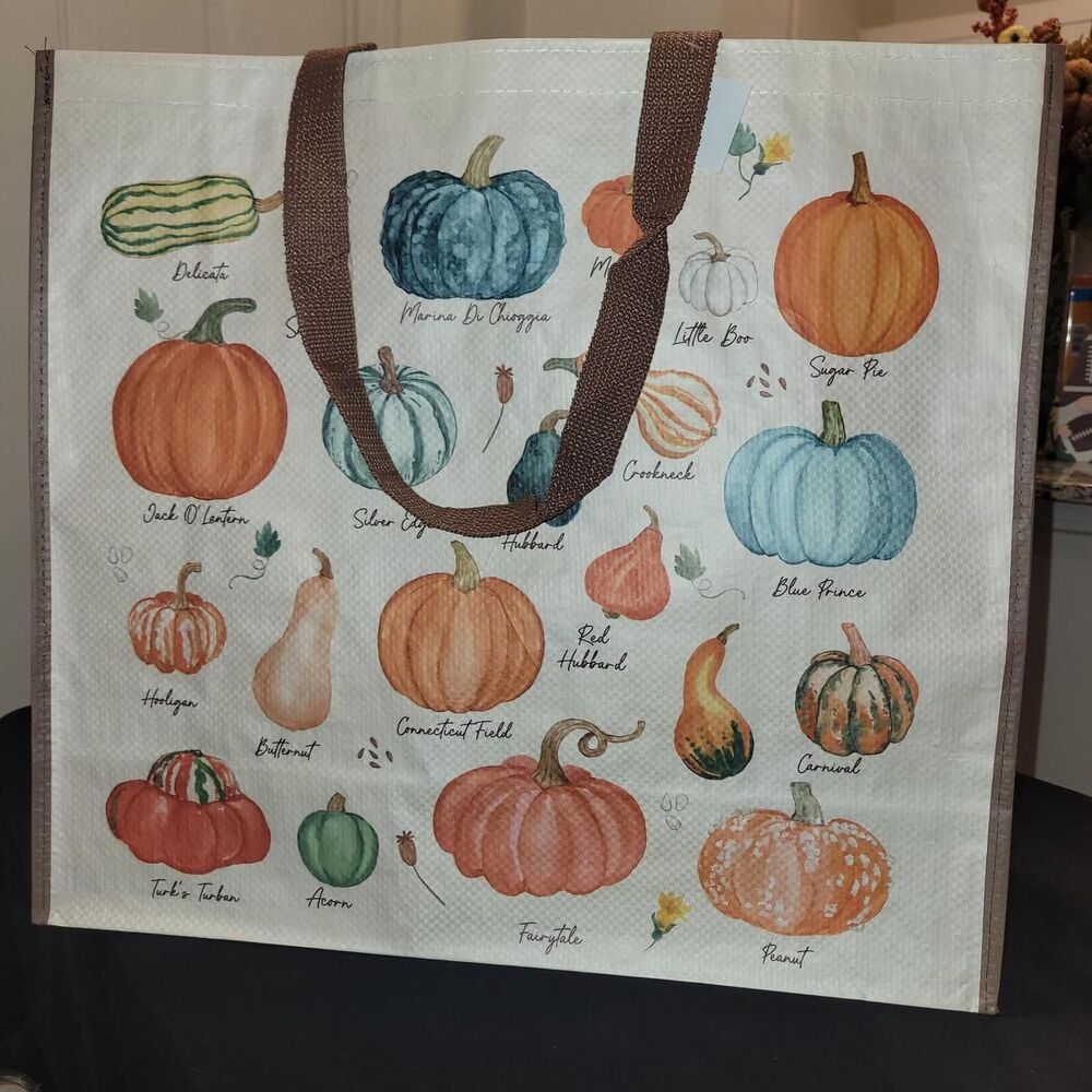 Fall pumkins reusable shopping bag Women's multi Bag